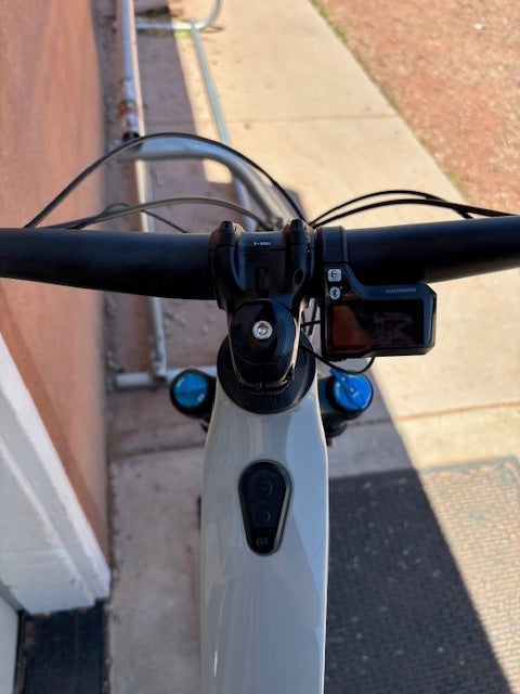 2024 Cannondale Moterra SL 2 MD